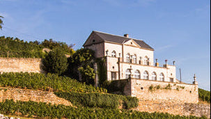 Maison Albert Bichot