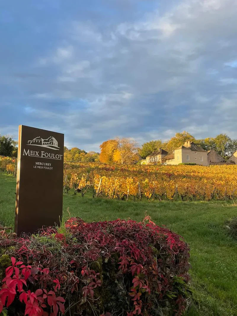 Domaine du Meix Foulot