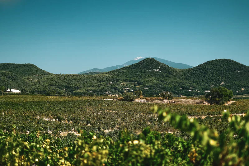 Rhône