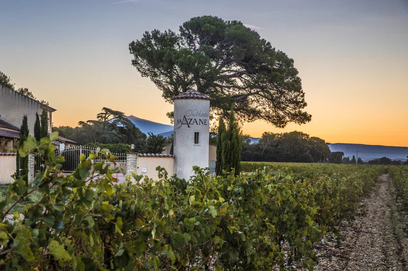 Domaine Alain Jaume