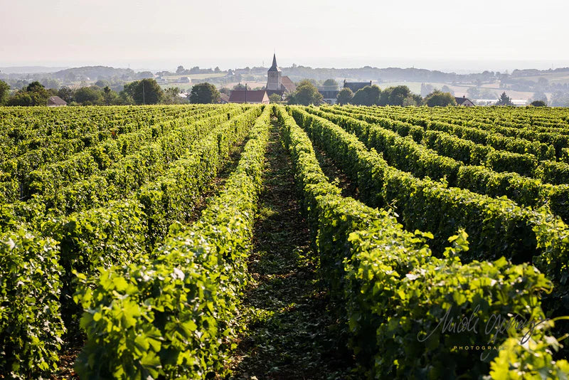 Loire
