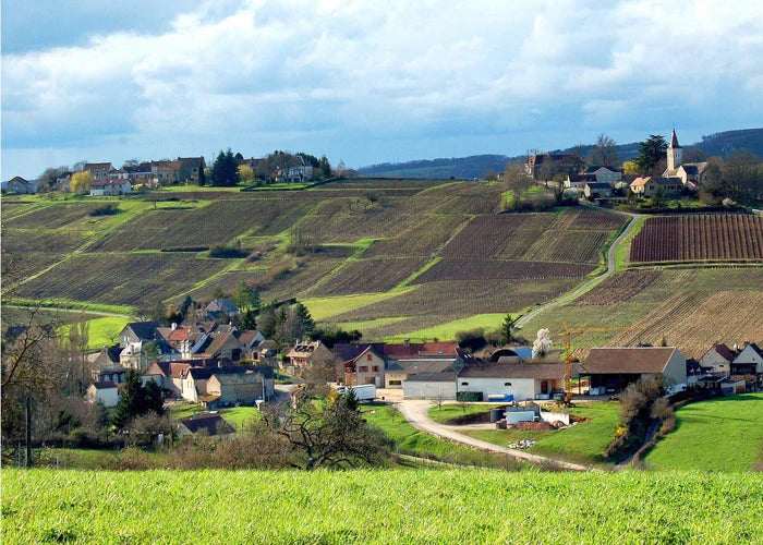 Domaine Bachelet-Ramonet