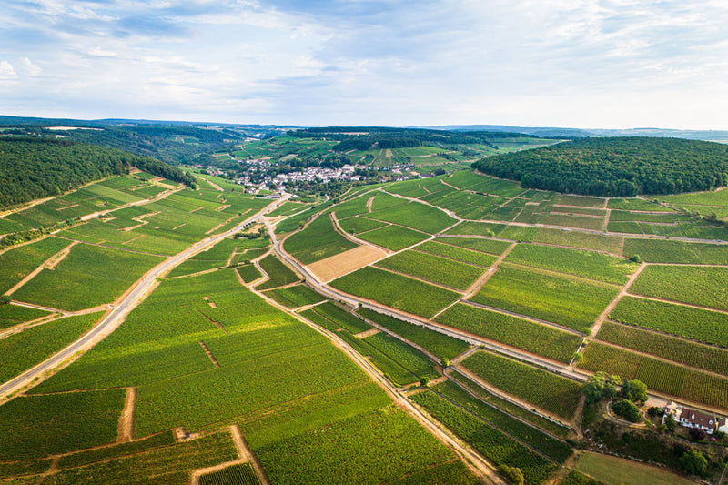Wine gallery image