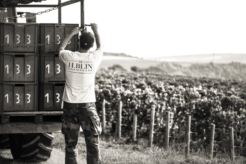 Champagne H. Blin