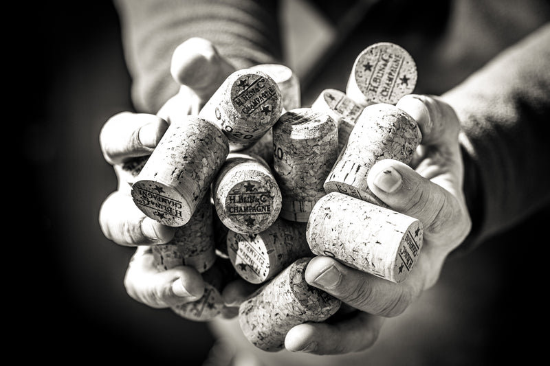 Wine gallery image