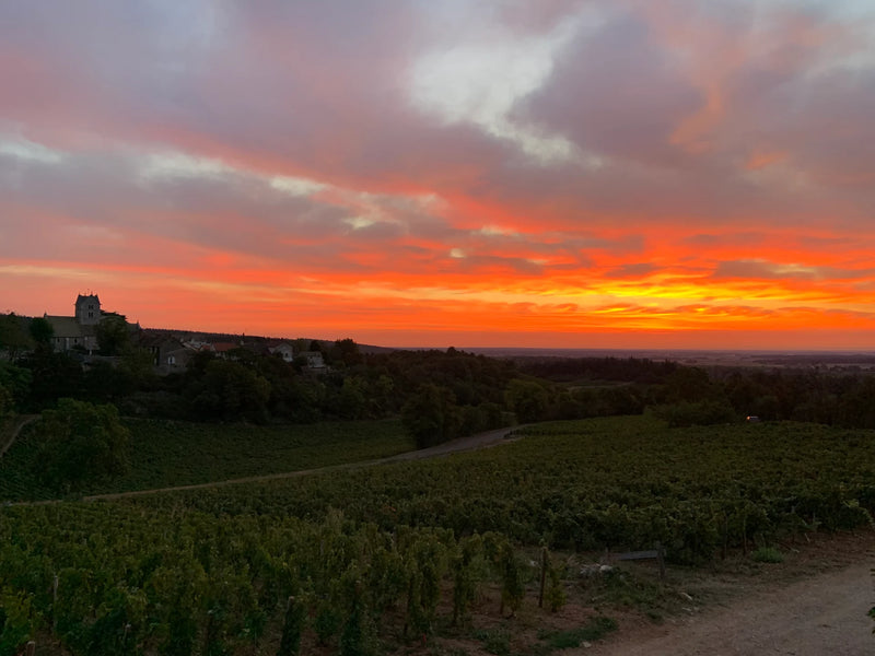 Domaine du Meix Foulot