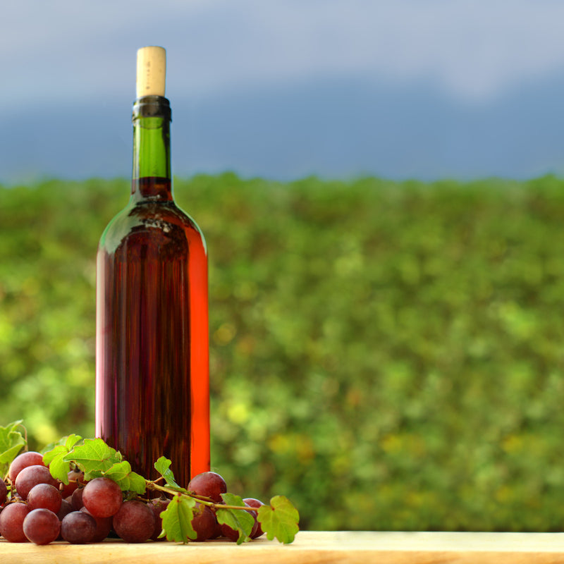 Elsass Terroir