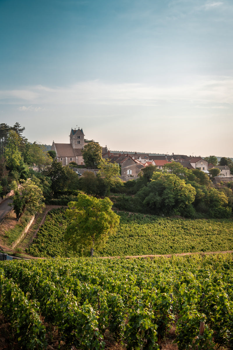 Domaine du Meix Foulot