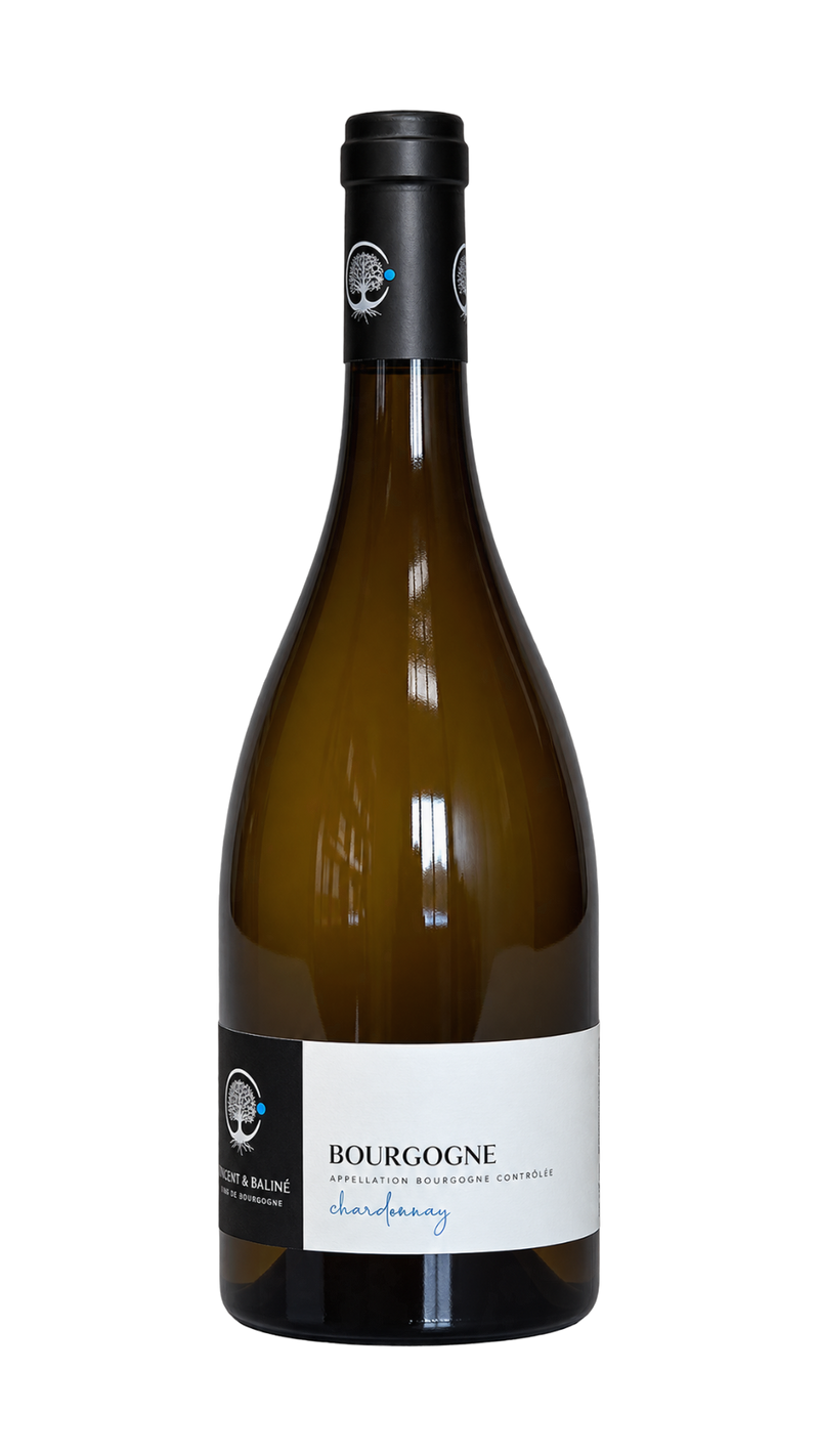 Bourgogne Blanc 2023