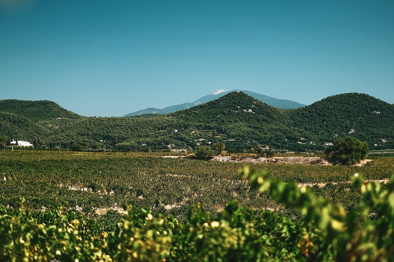 Rhône