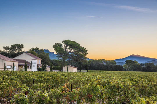 Domaine Ruhlmann-Schutz
