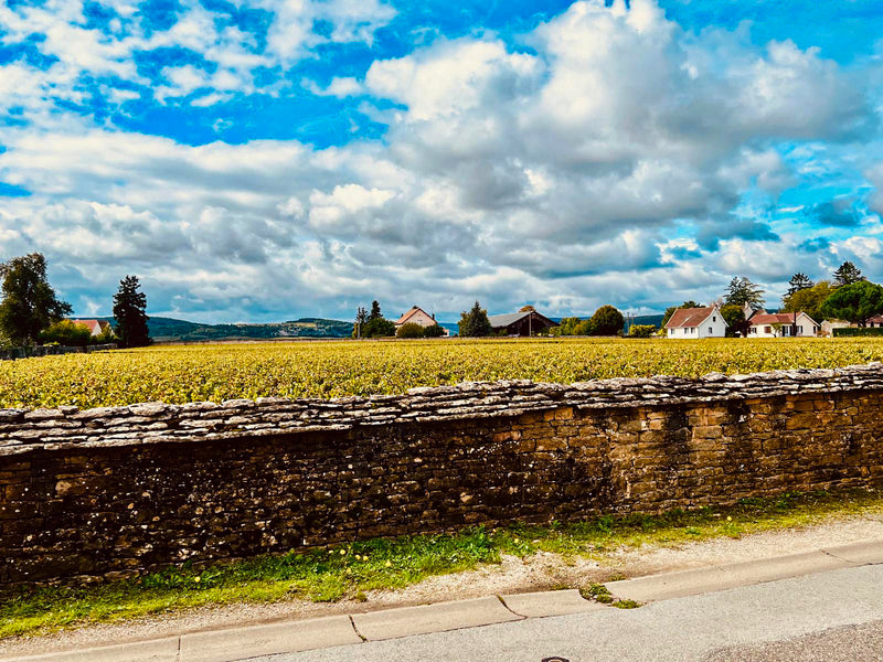 Burgund Lage