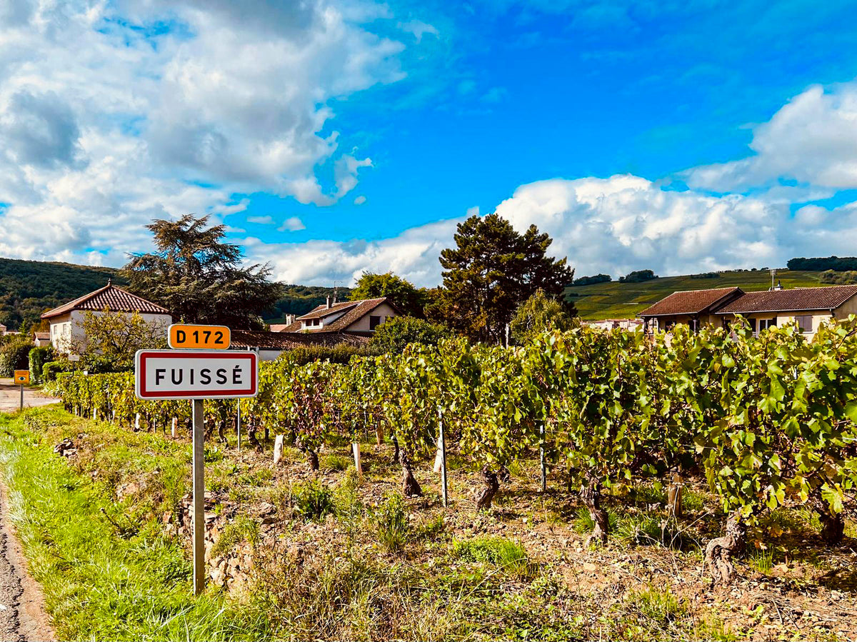 Domaine Ruhlmann-Schutz