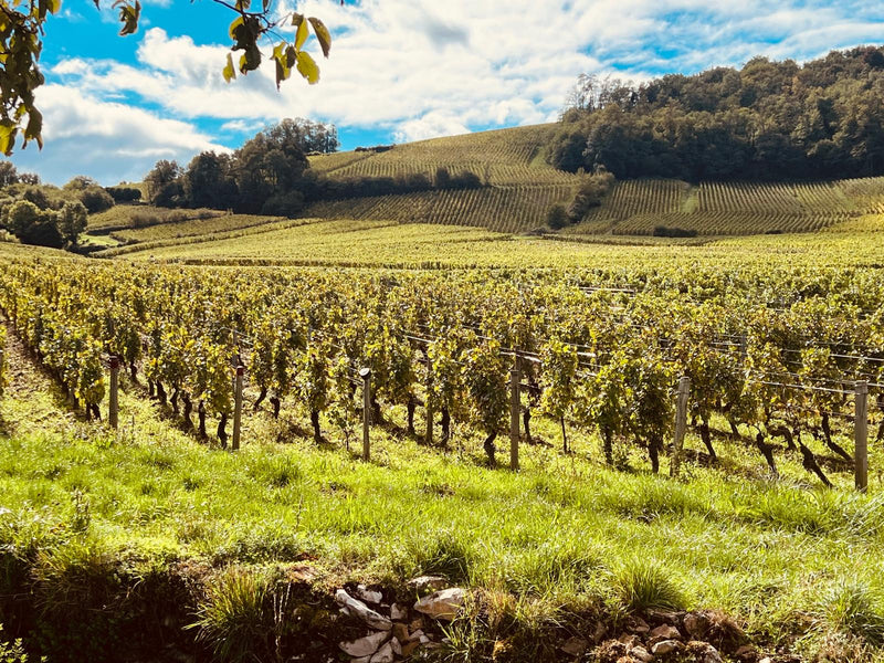 Domaine Frey-Sohler