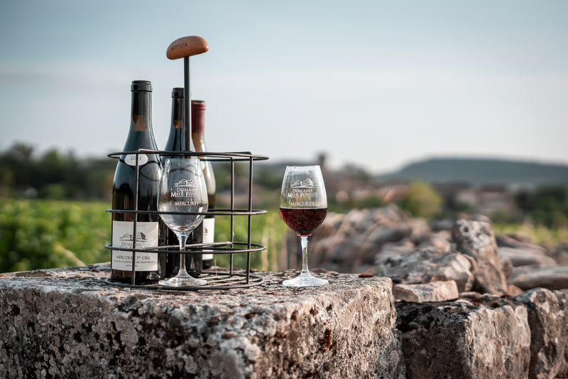 Domaine du Meix Foulot