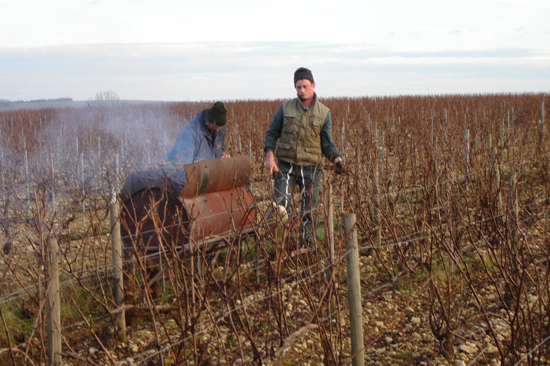 Chorey-les-Beaune