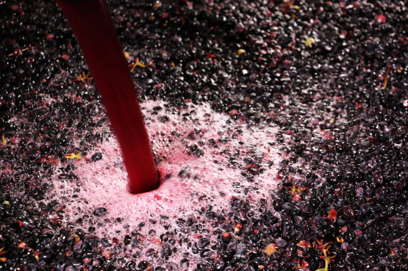 Wine gallery image
