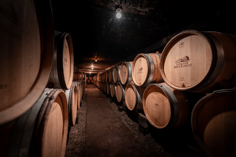 Domaine du Meix Foulot